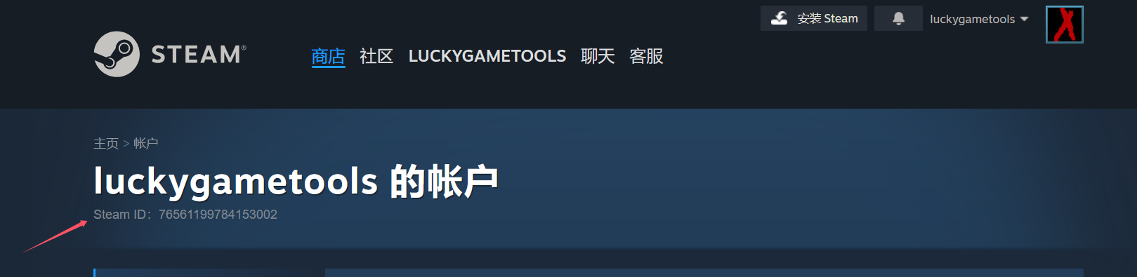 Steam store account page showing a Steam ID